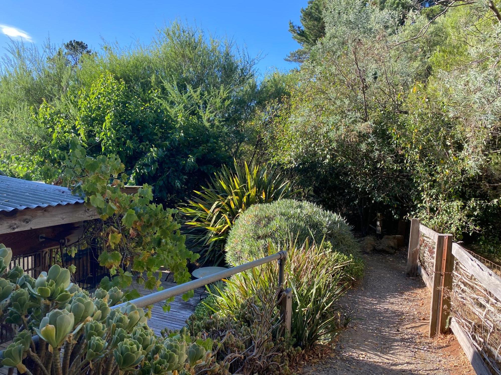 Sutton Spring Art Retreats Διαμέρισμα Daylesford Εξωτερικό φωτογραφία