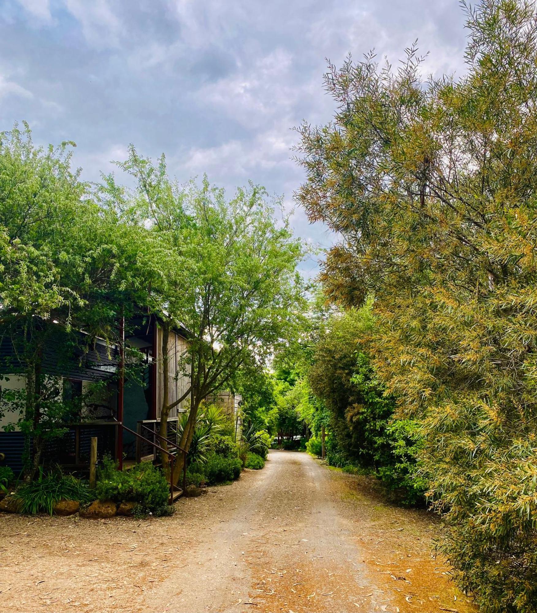 Sutton Spring Art Retreats Διαμέρισμα Daylesford Δωμάτιο φωτογραφία