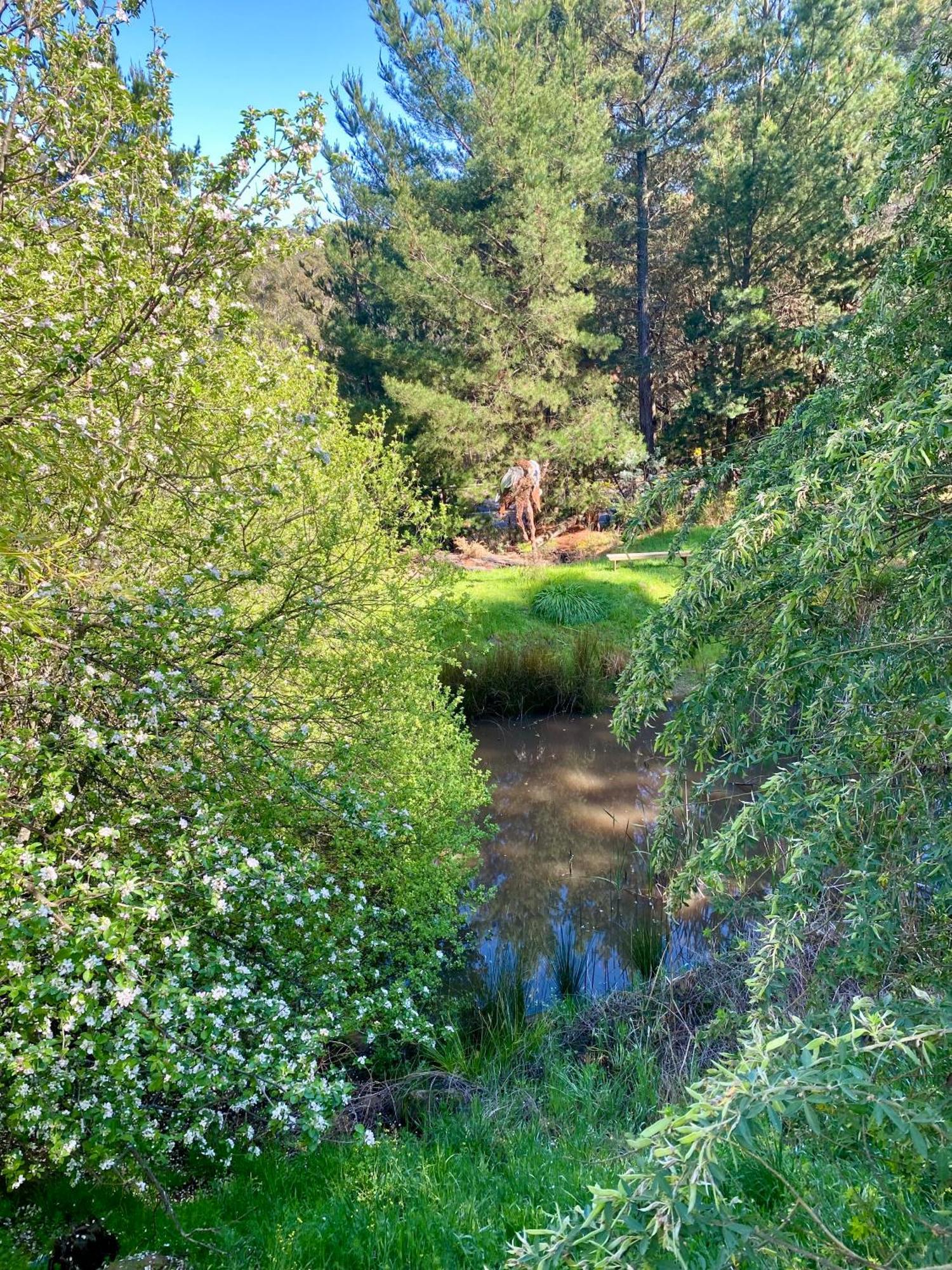 Sutton Spring Art Retreats Διαμέρισμα Daylesford Δωμάτιο φωτογραφία