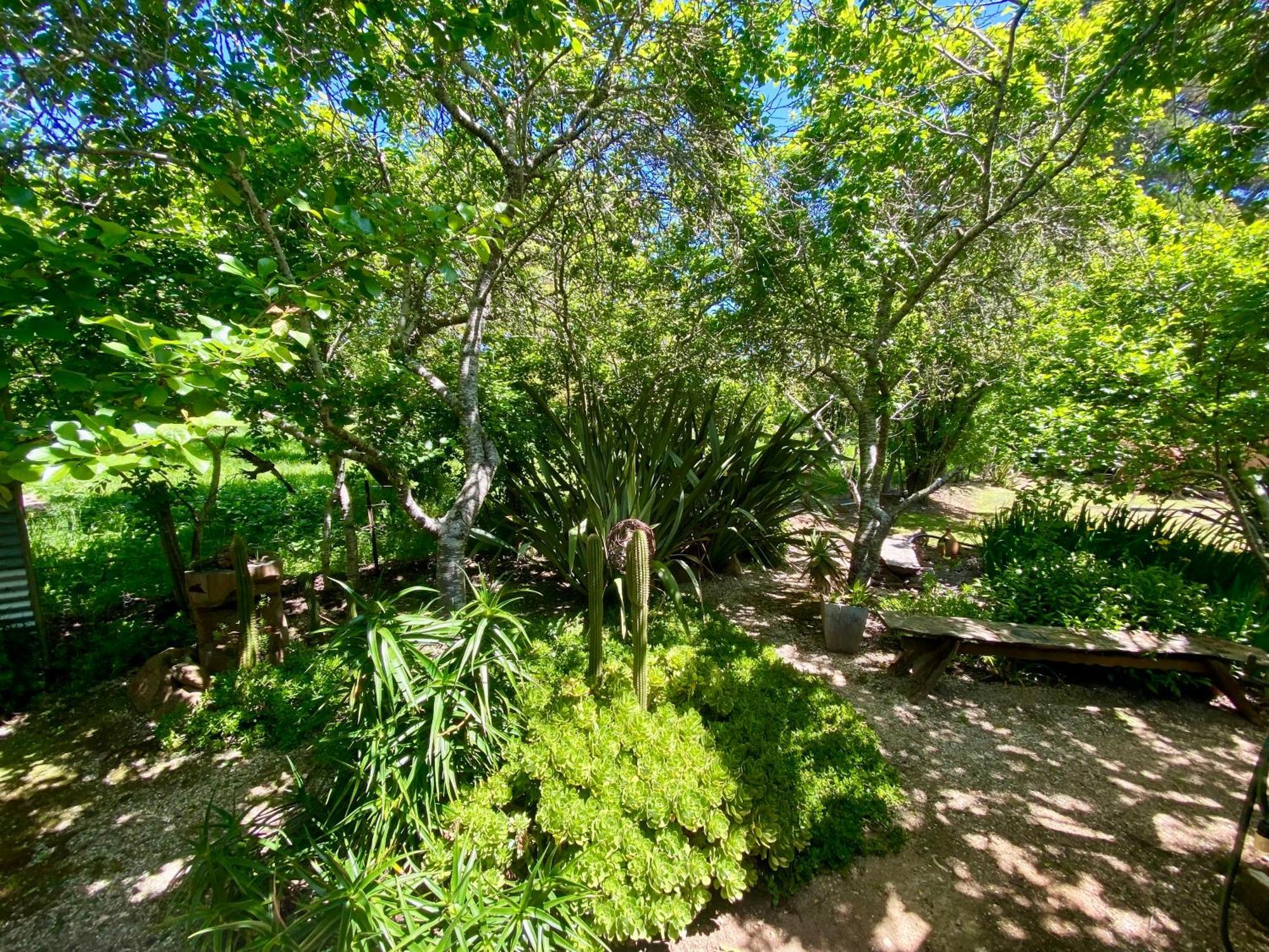 Sutton Spring Art Retreats Διαμέρισμα Daylesford Δωμάτιο φωτογραφία