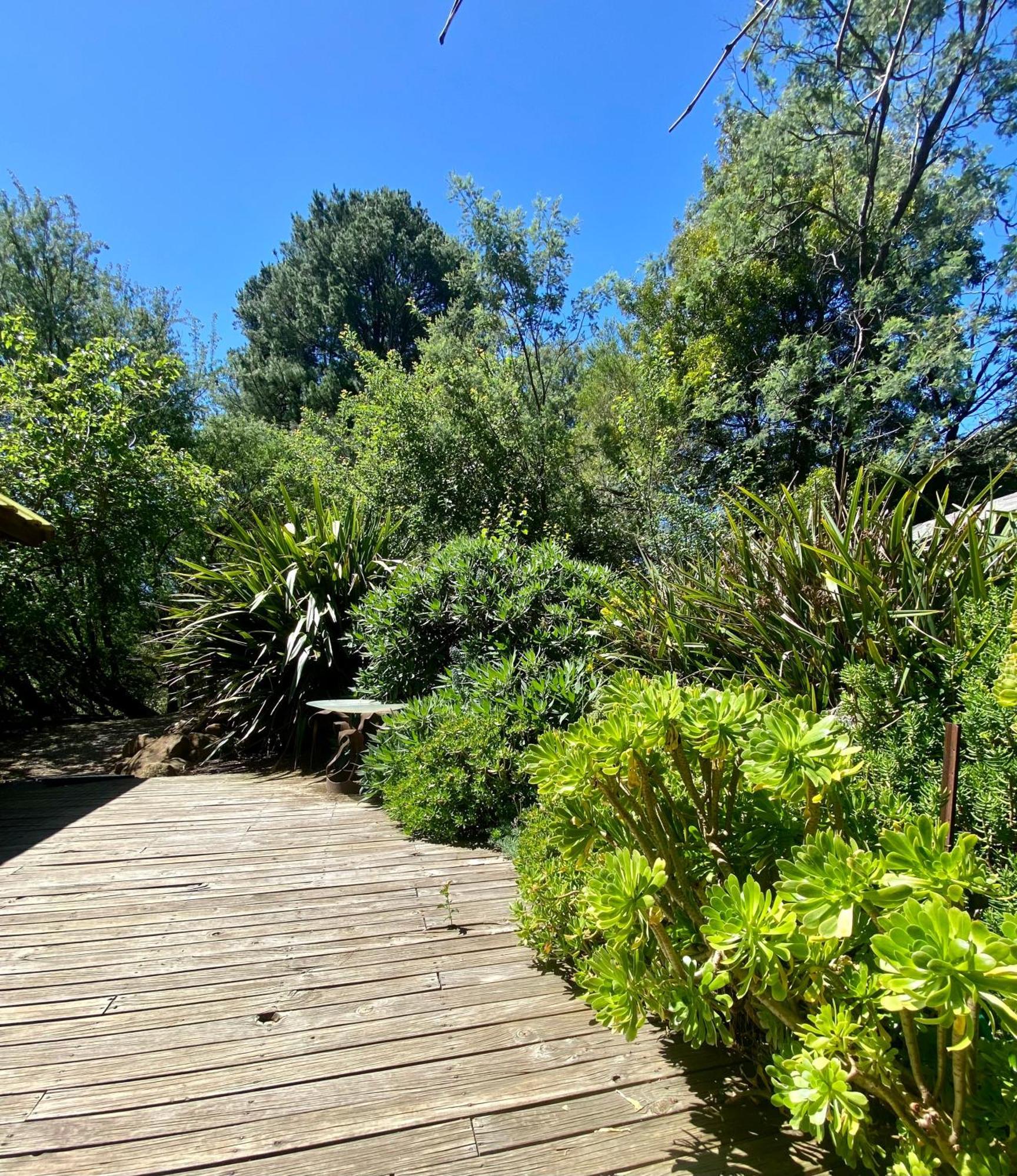 Sutton Spring Art Retreats Διαμέρισμα Daylesford Δωμάτιο φωτογραφία