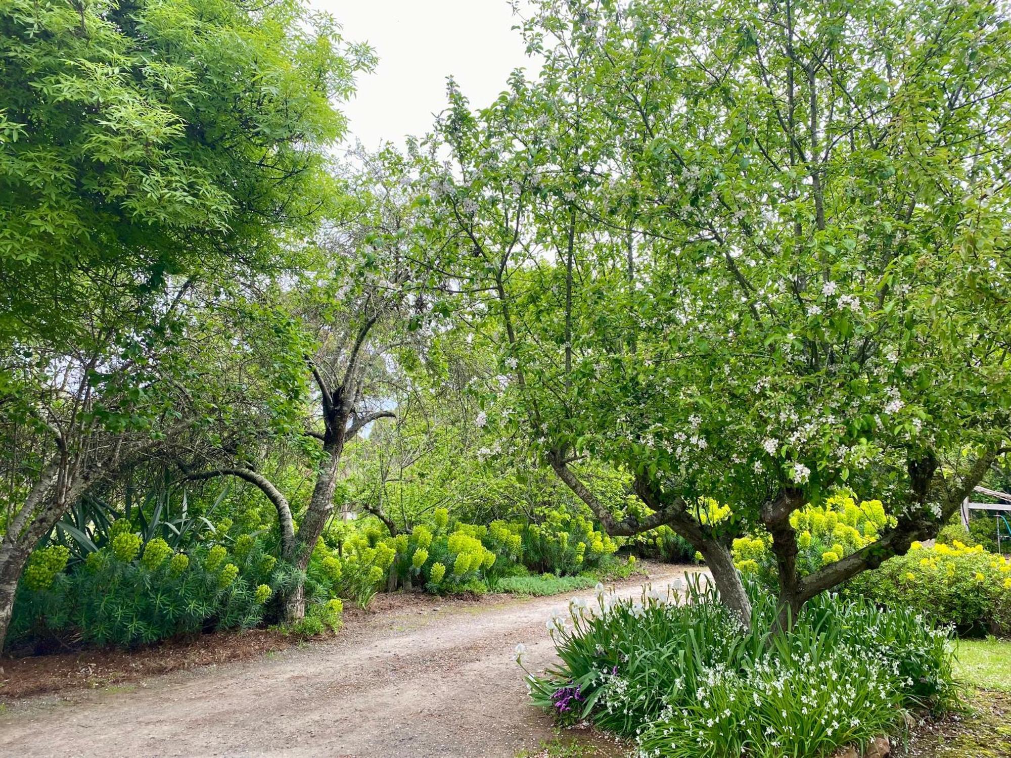 Sutton Spring Art Retreats Διαμέρισμα Daylesford Δωμάτιο φωτογραφία