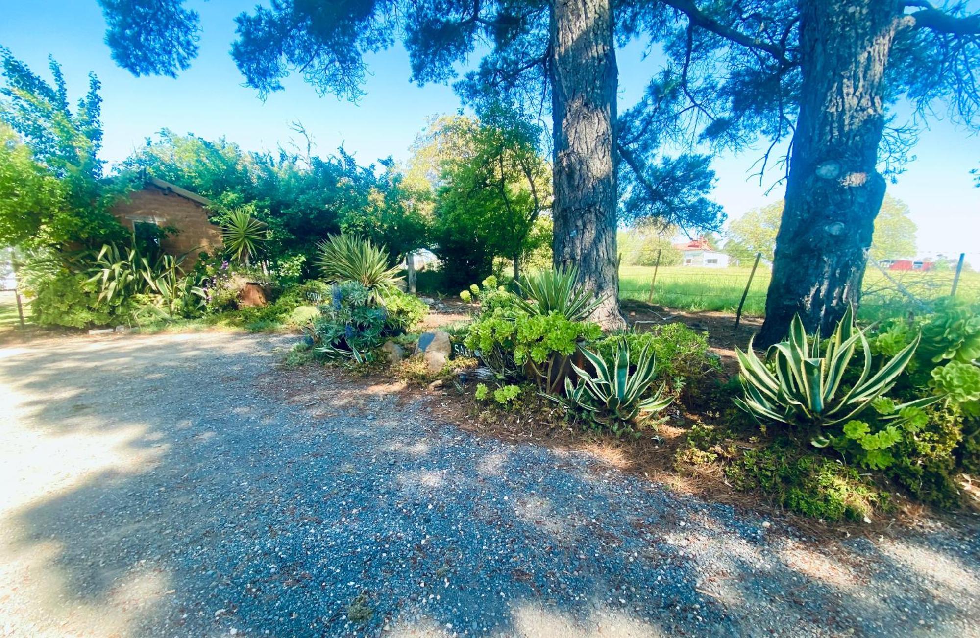 Sutton Spring Art Retreats Διαμέρισμα Daylesford Δωμάτιο φωτογραφία