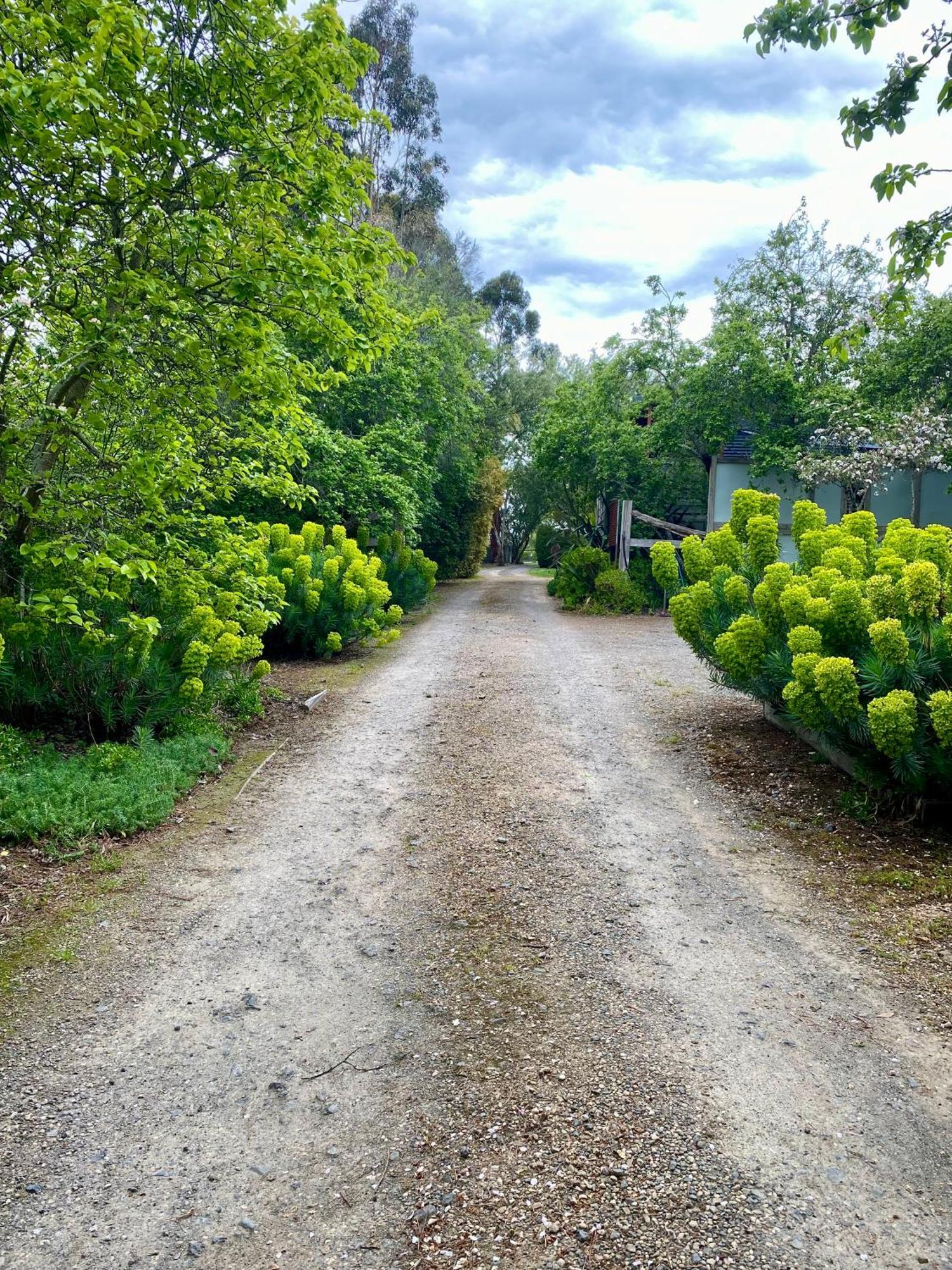 Sutton Spring Art Retreats Διαμέρισμα Daylesford Εξωτερικό φωτογραφία